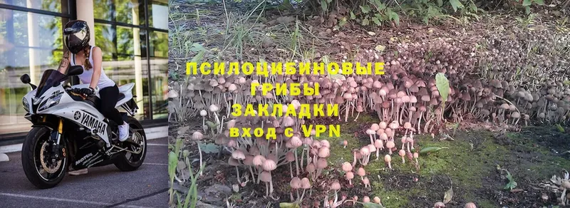 Галлюциногенные грибы MAGIC MUSHROOMS  купить наркотик  Омск 